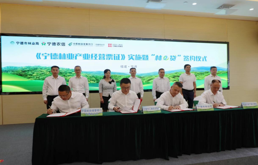 寧德林業產業經營票證暨“林e貸”簽約啟動儀式成功舉行